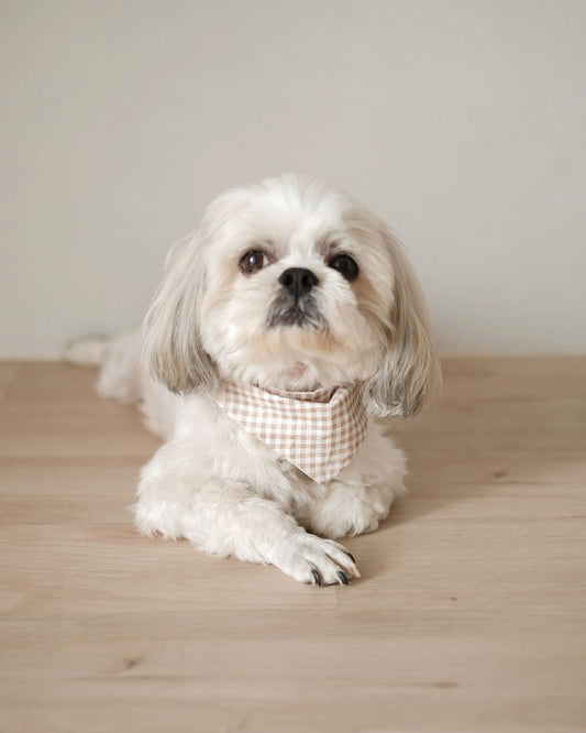 Pet Bandana