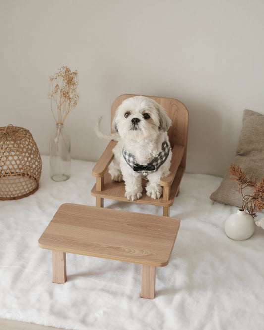 Standard Table & Chair Set