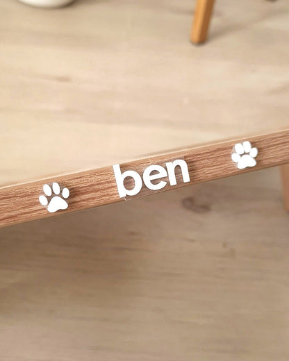 Custom Name (Acrylic Letter)