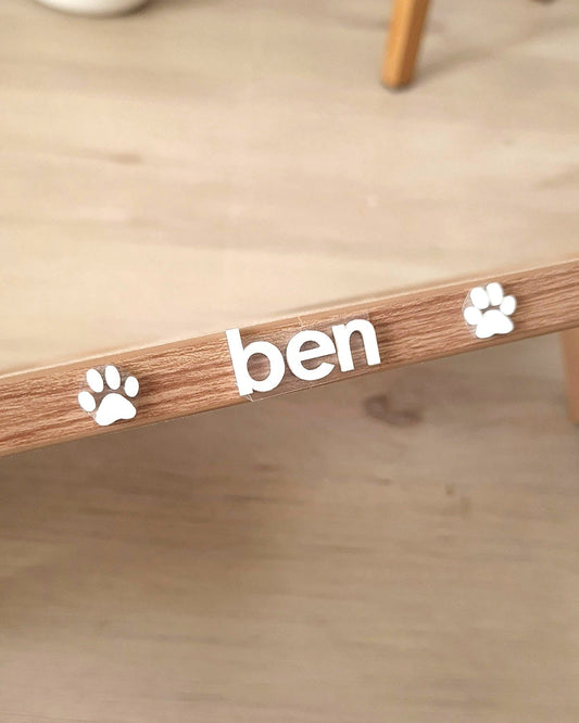 Custom Name (Acrylic Letter)