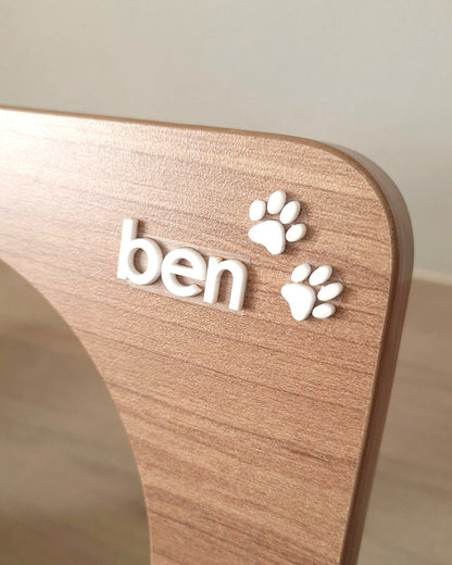 Custom Name (Acrylic Letter)