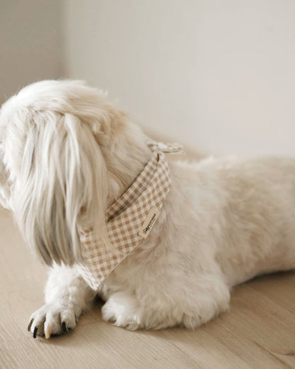 Pet Bandana
