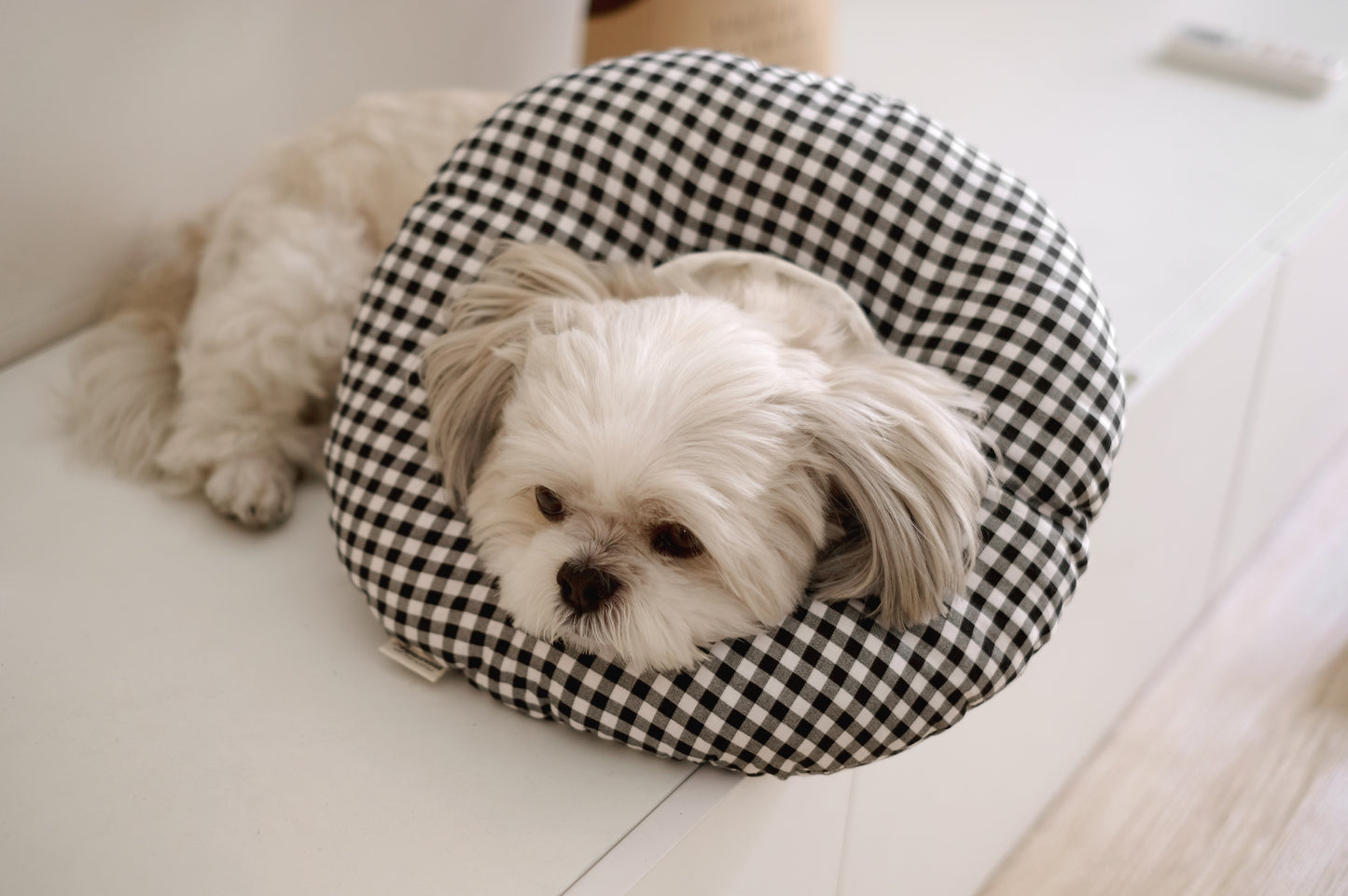 Pet Donut Pillow