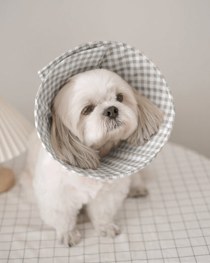 Pet Cone