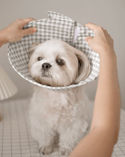Pet Cone