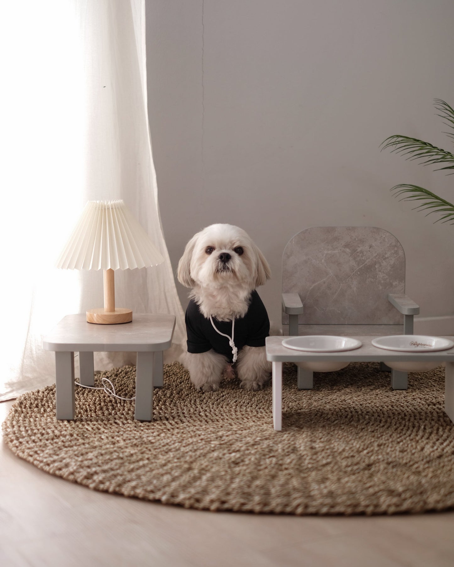 Standard Table & Chair Set