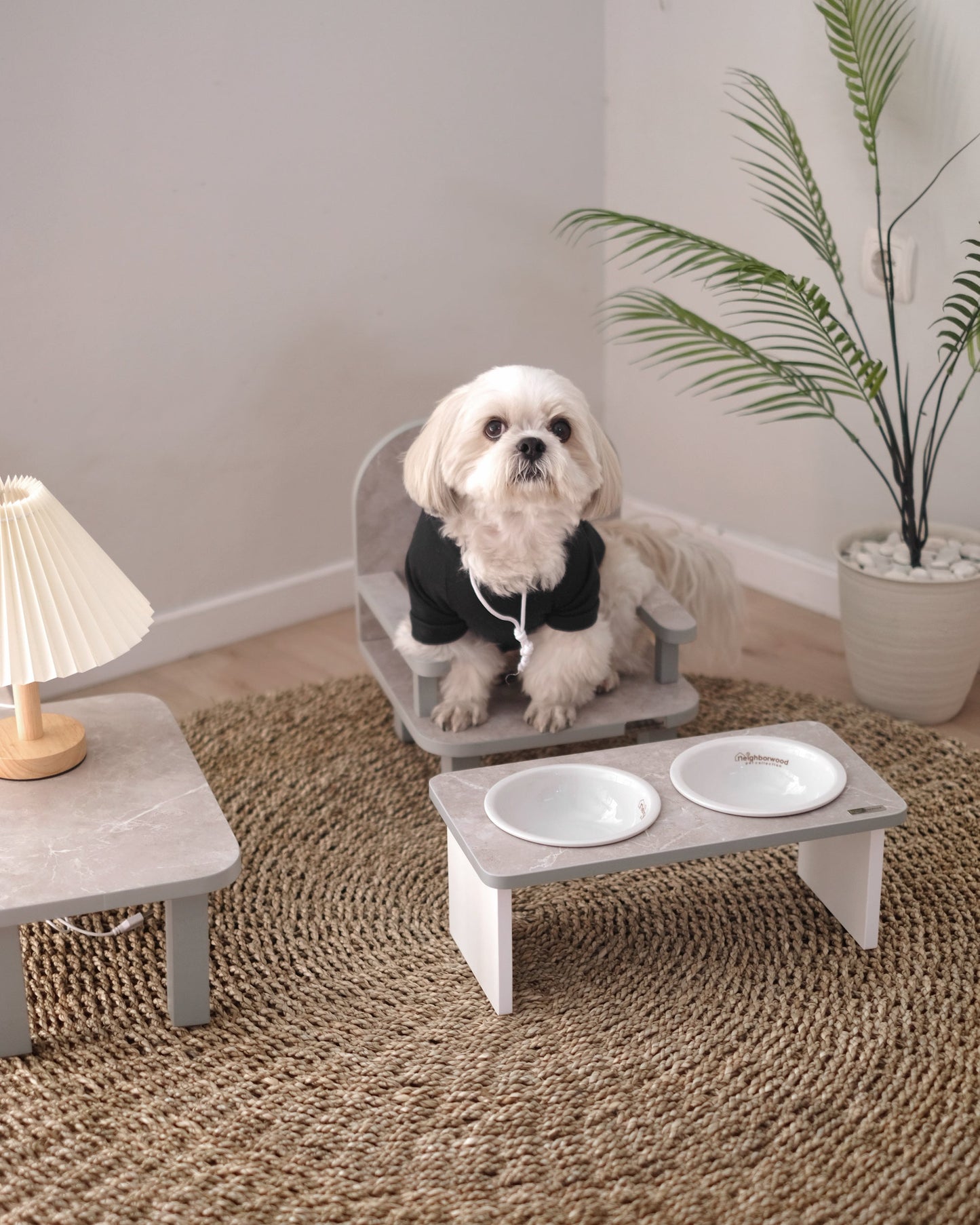 Standard Table & Chair Set