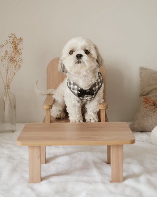 Standard Table & Chair Set