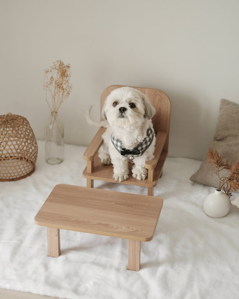 Standard Table & Chair Set