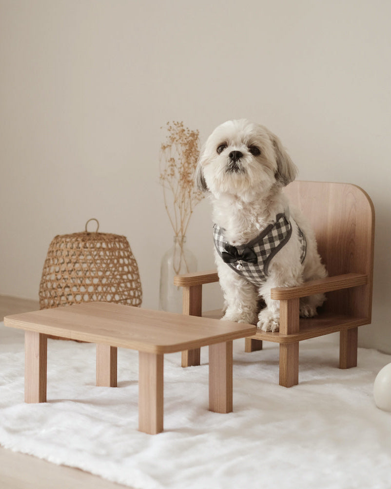 Standard Table & Chair Set