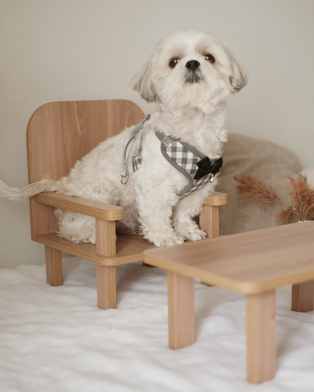 Standard Table & Chair Set