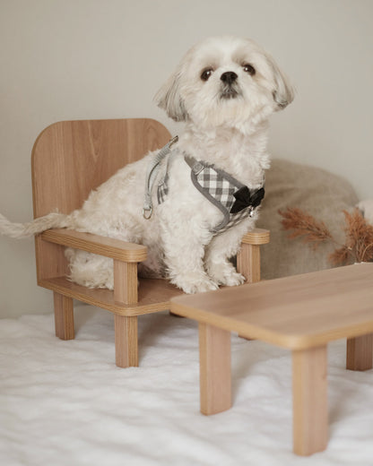 Standard Table & Chair Set