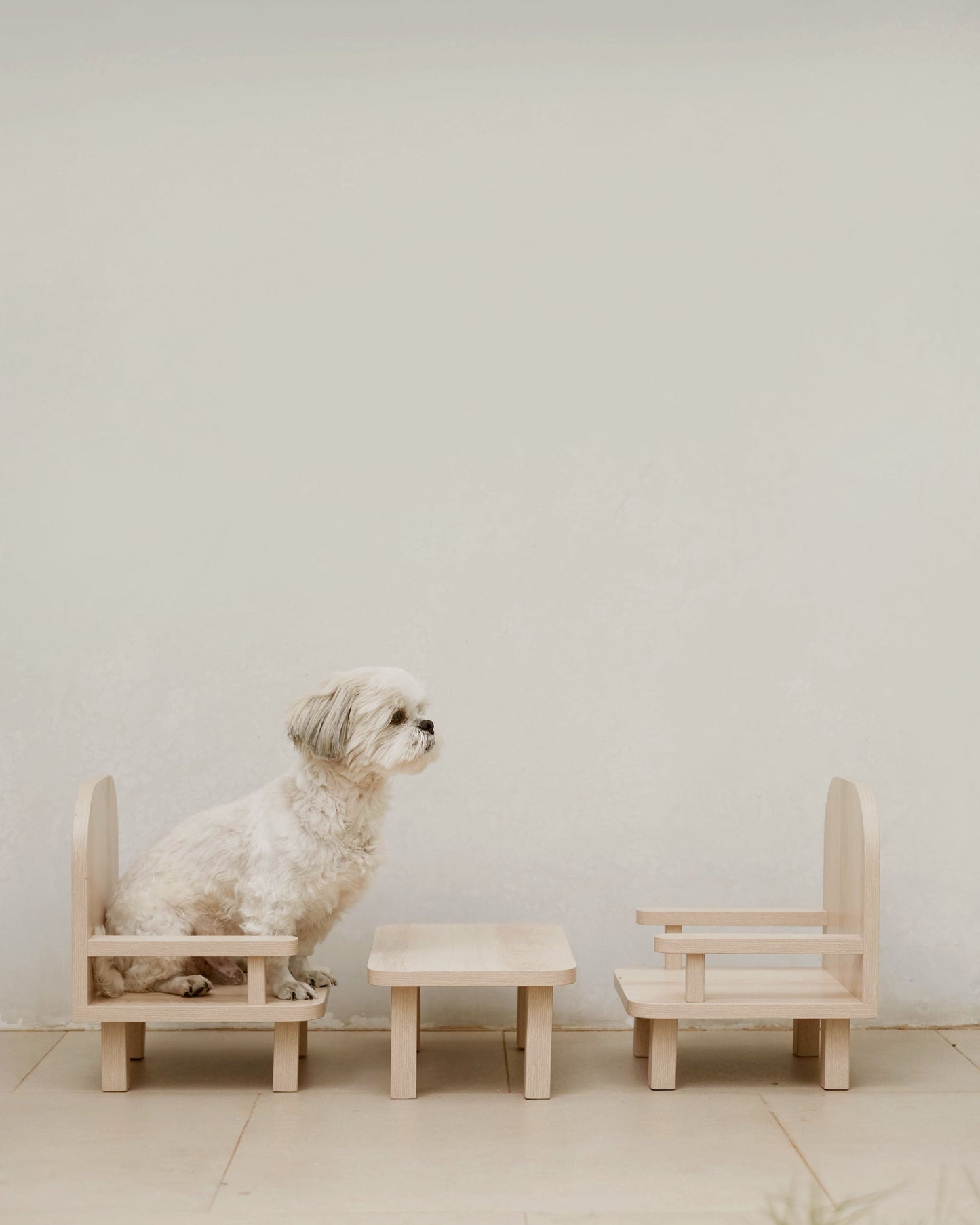 Standard Table & Chair Set