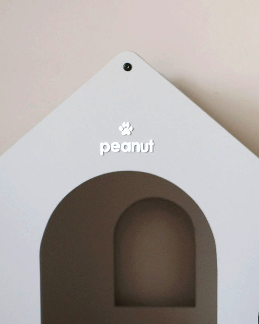 Custom Name (Acrylic Letter)