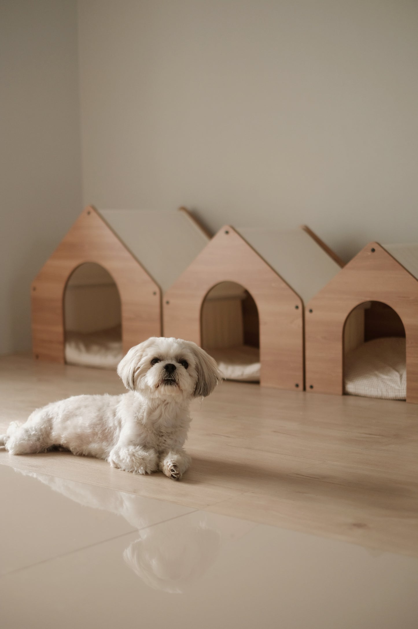 Pet House